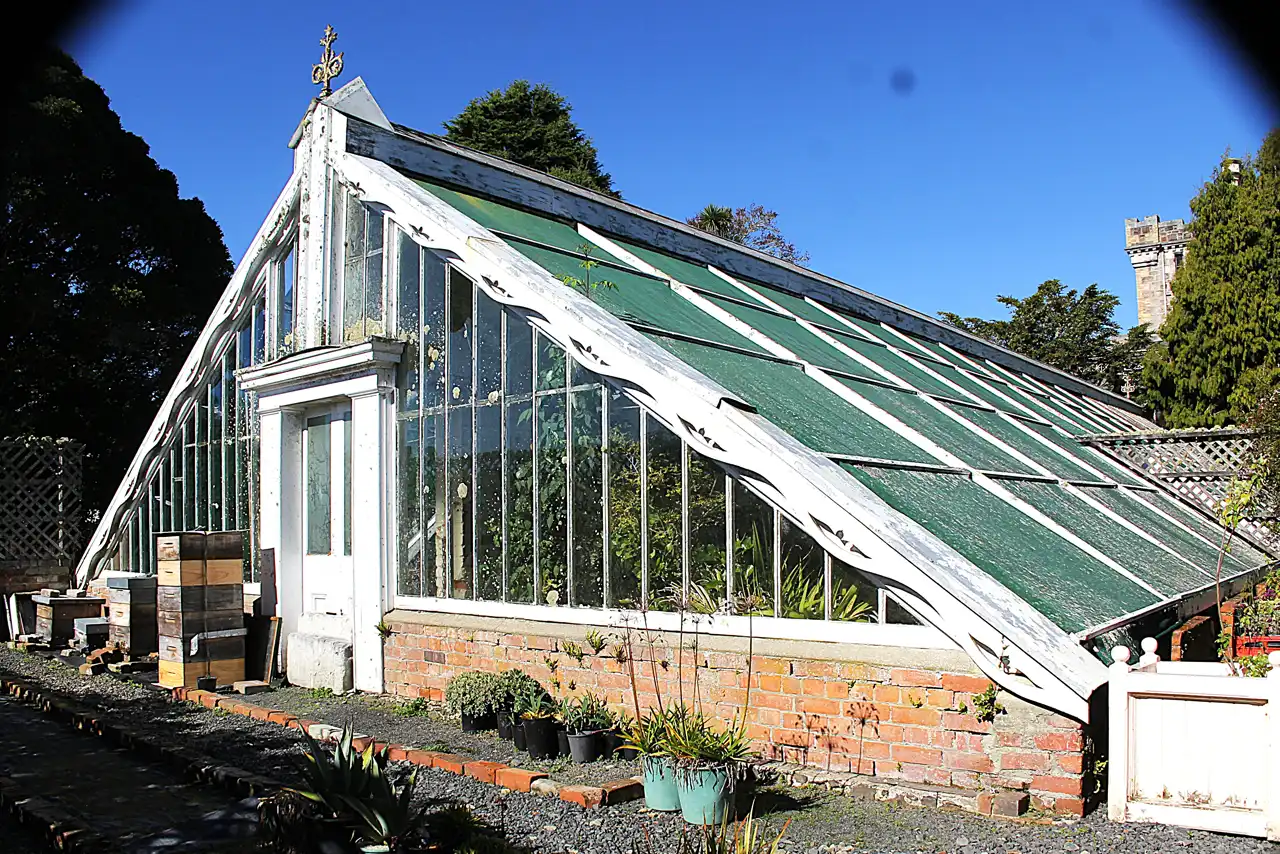 Larnach Castle Vinery, Pukehiki