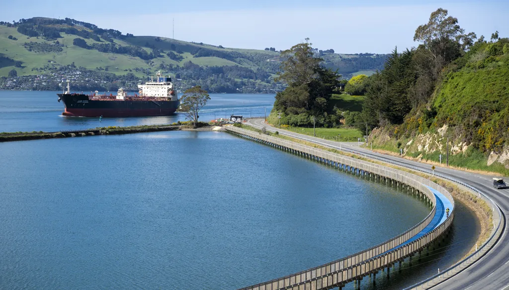 Te Aka Ōtākou - The Harbour Cycleway