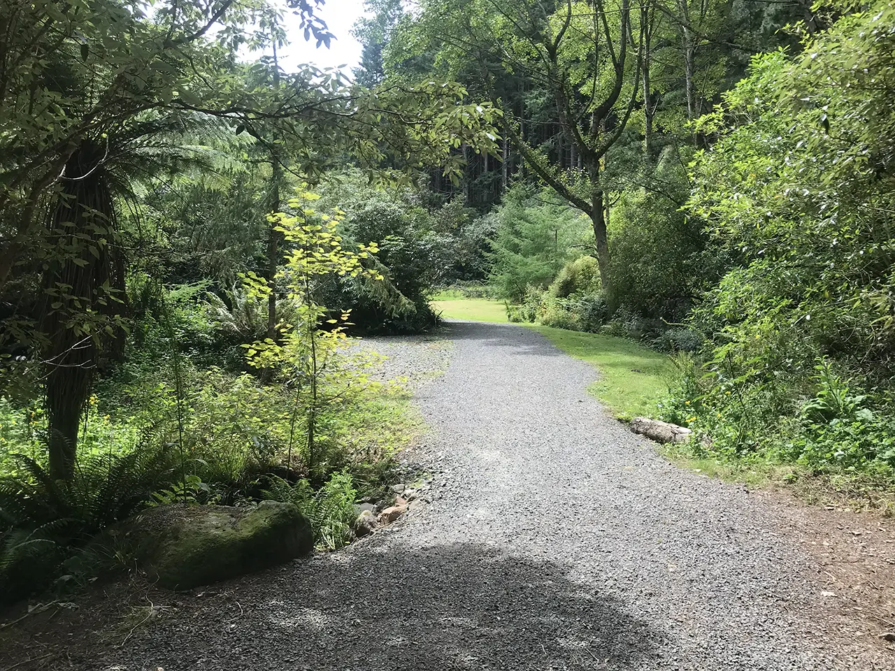 Photo of Mt Cargill Walking Track