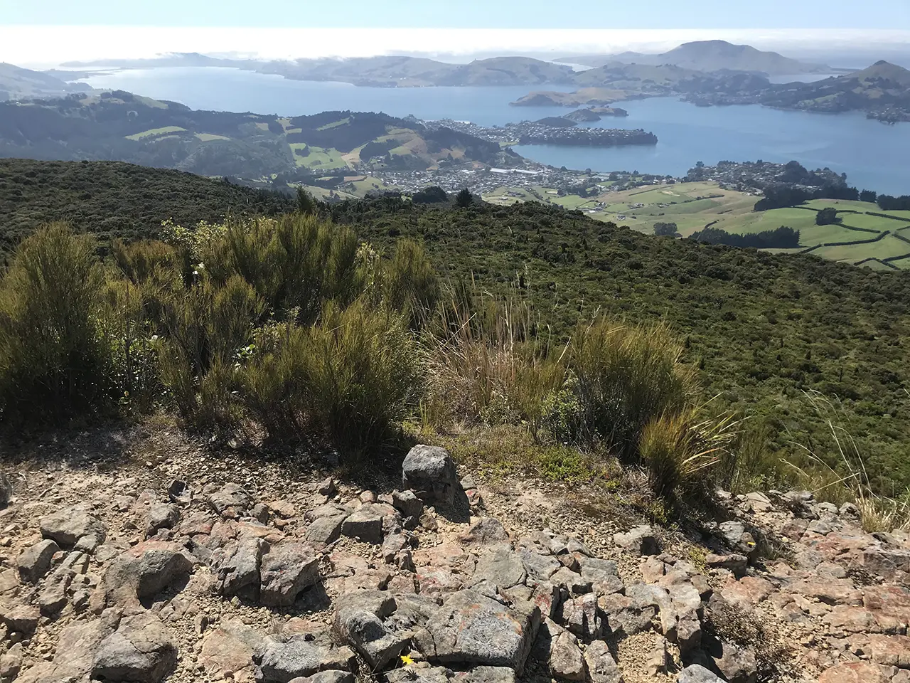Photo of Mt Cargill Walking Track