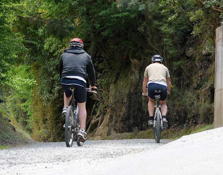 Bethunes Gully biking