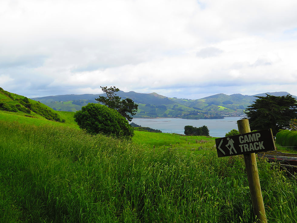 Camp Road
