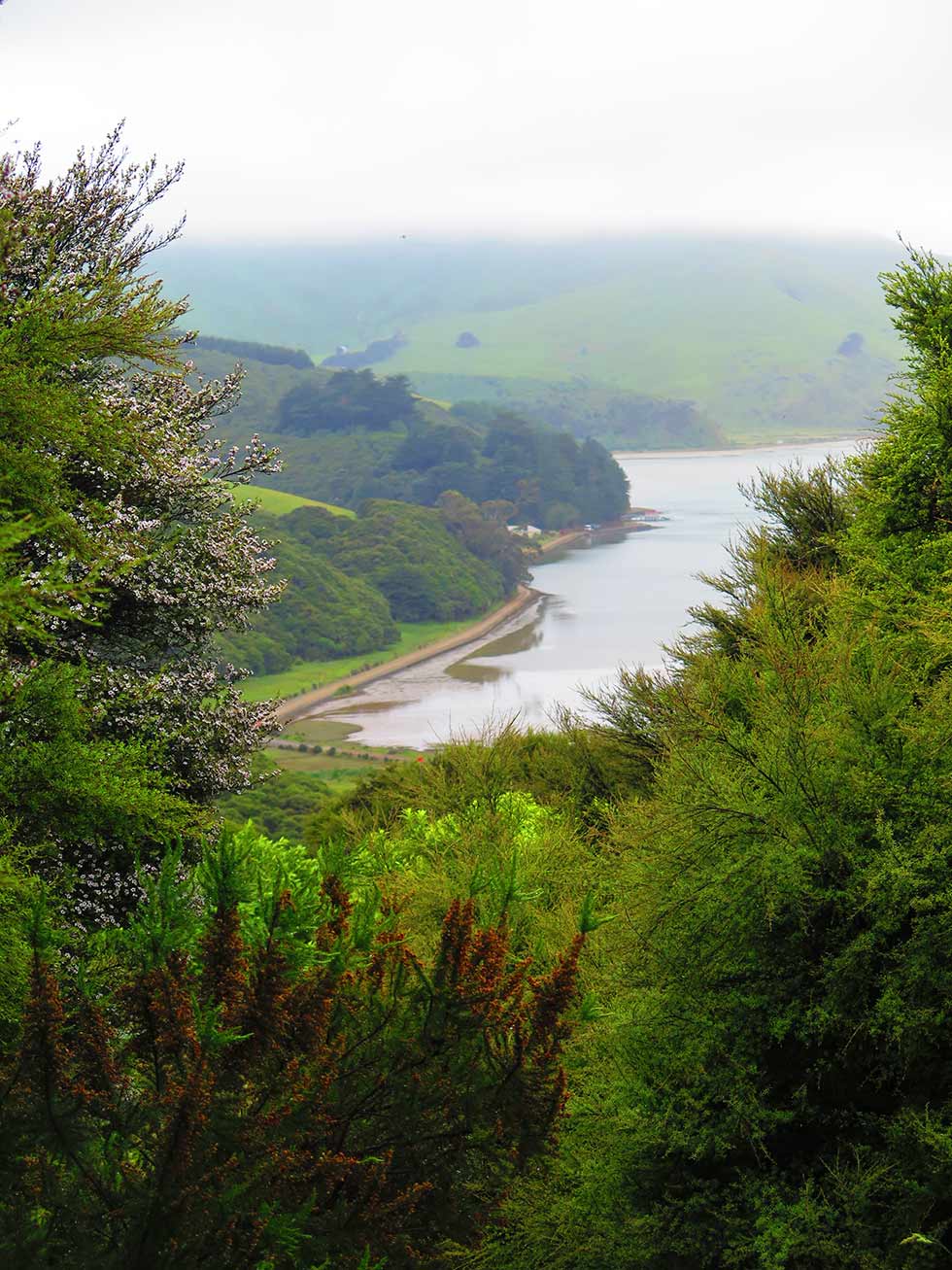 Hereweka Track
