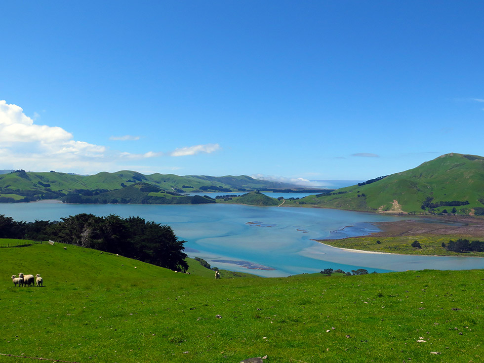 Nyhon Track Nyhon Track