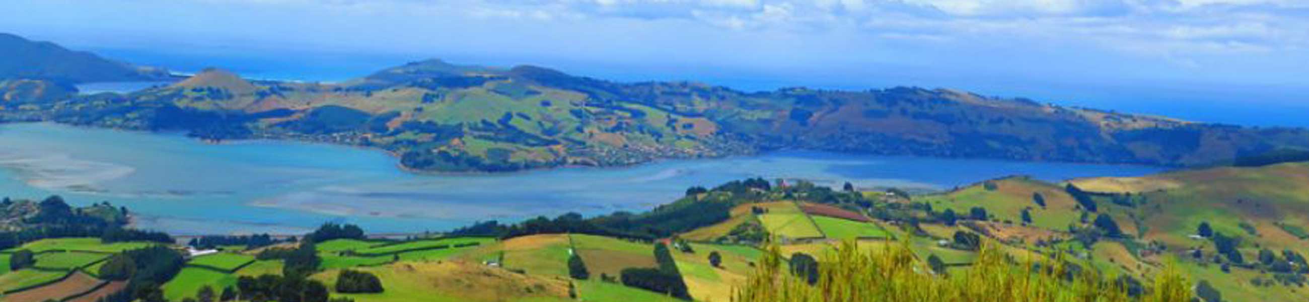 A H Read Track A H Read Track