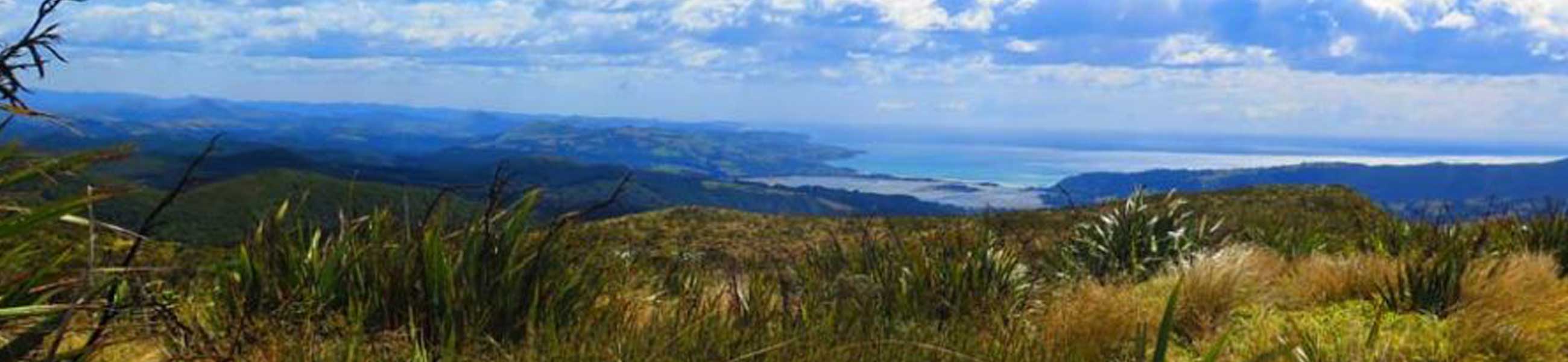 Leith Saddle Track
