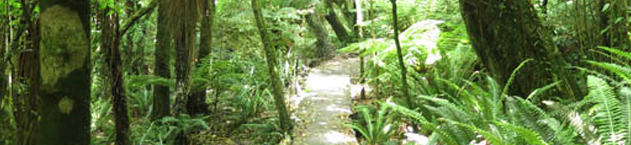McGouns Track