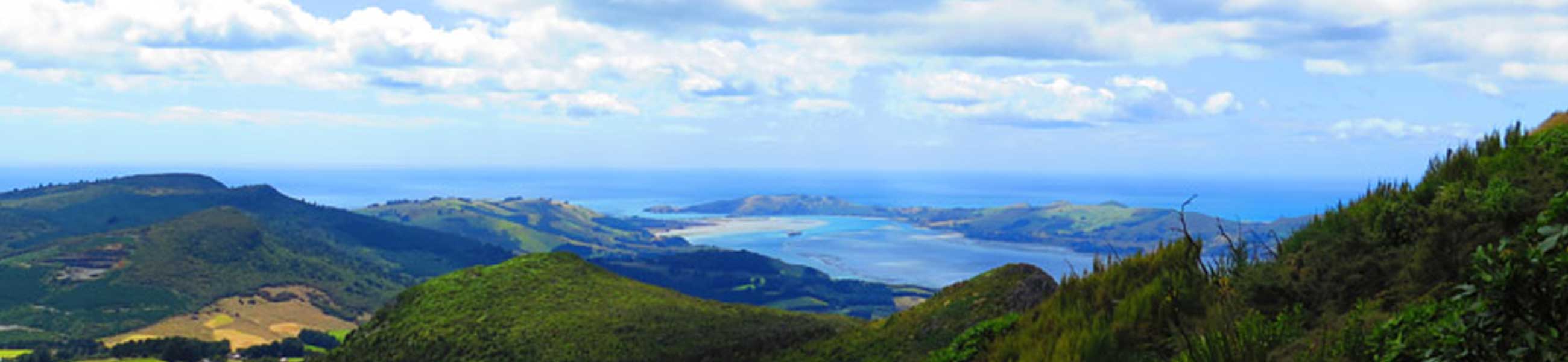 Mt Cargill