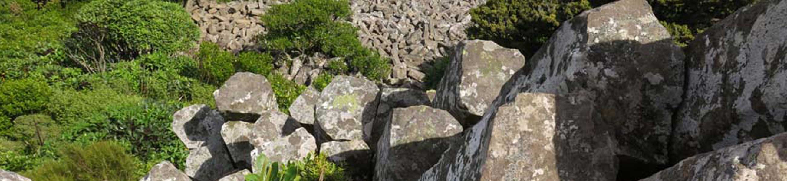 Organ Pipes Track