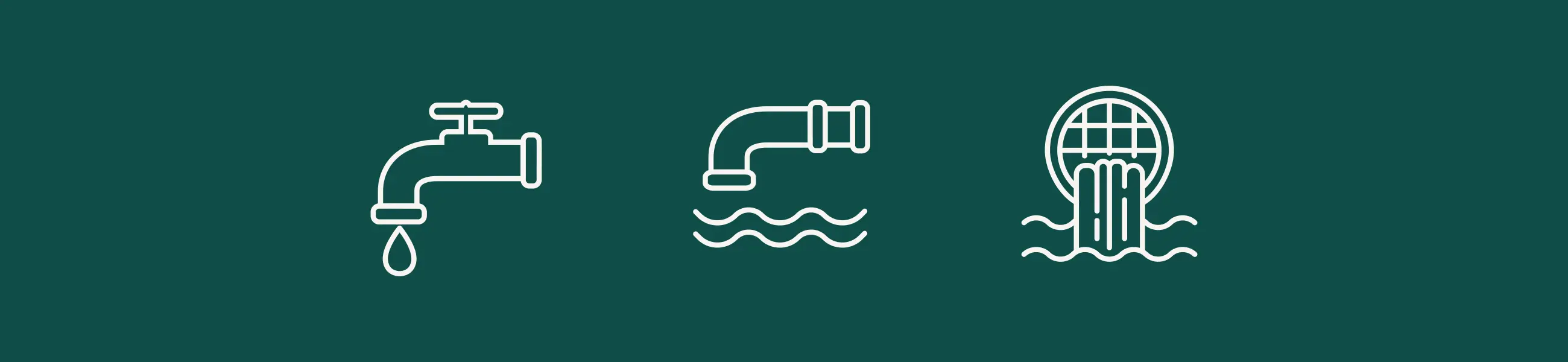 Local Water Done Well Reform