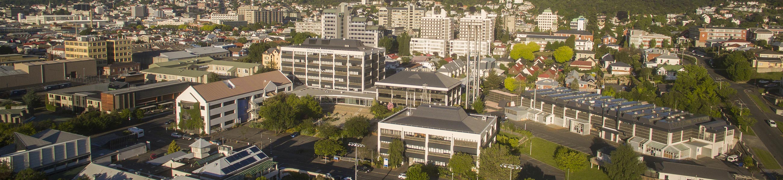 North Dunedin Aerial view from Brackens Lookout.