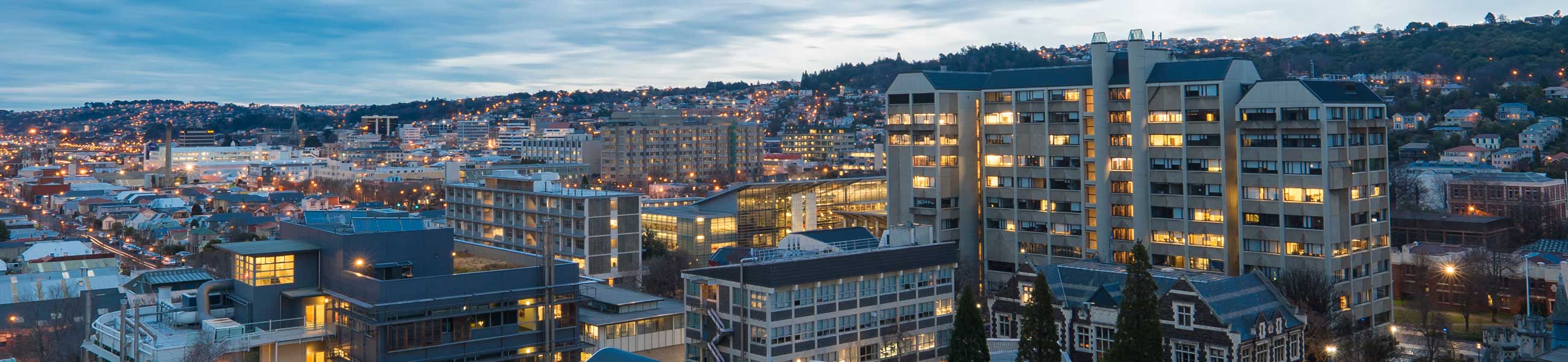 Dunedin City at night