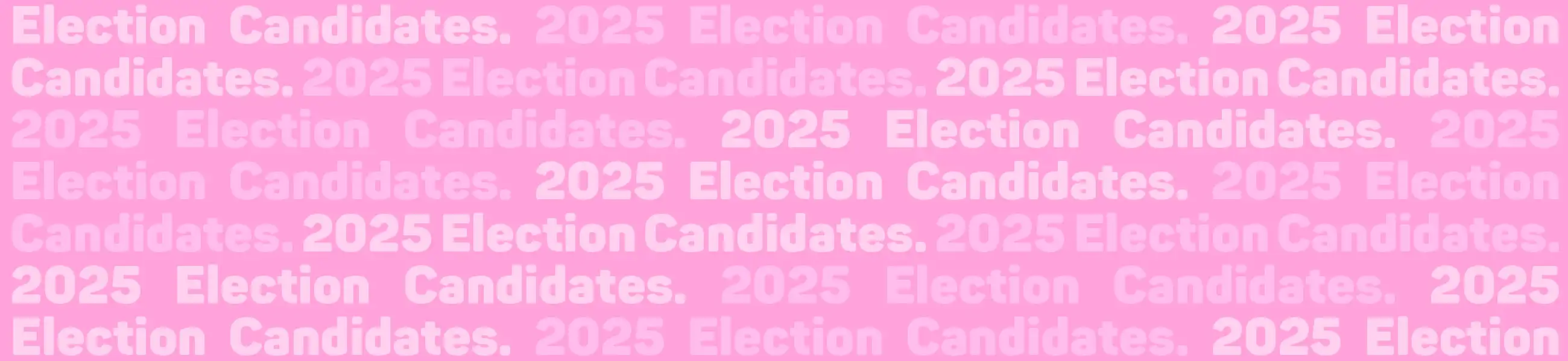 View the candidates 2025 banner