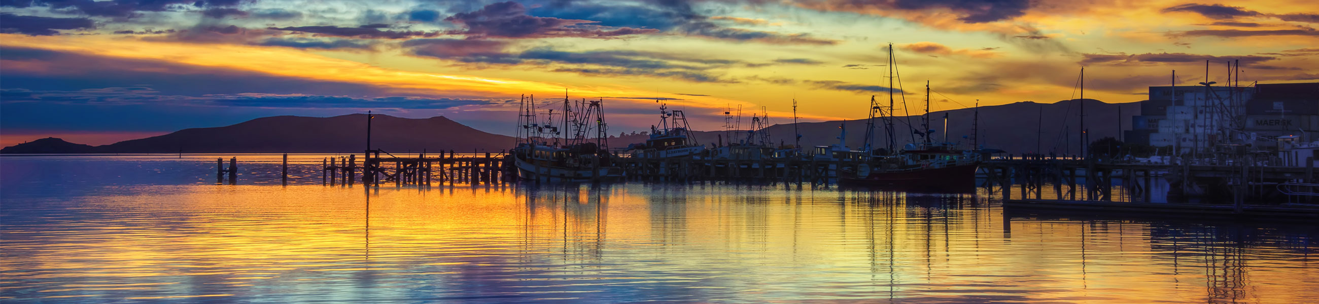 Brand guidelines Port Chalmers