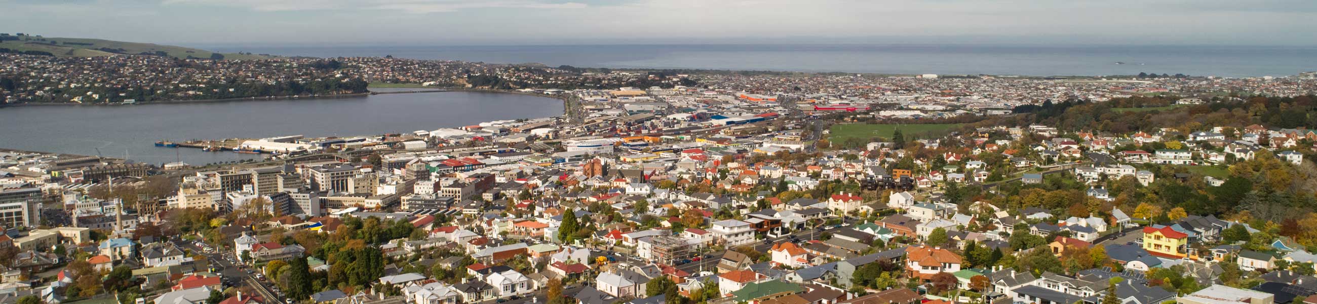 Dunedin City