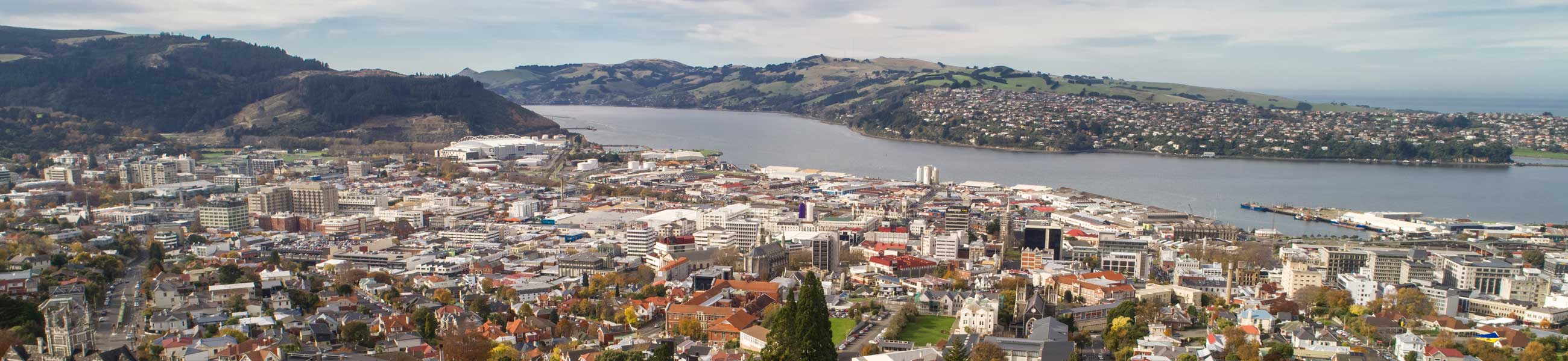 Dunedin City