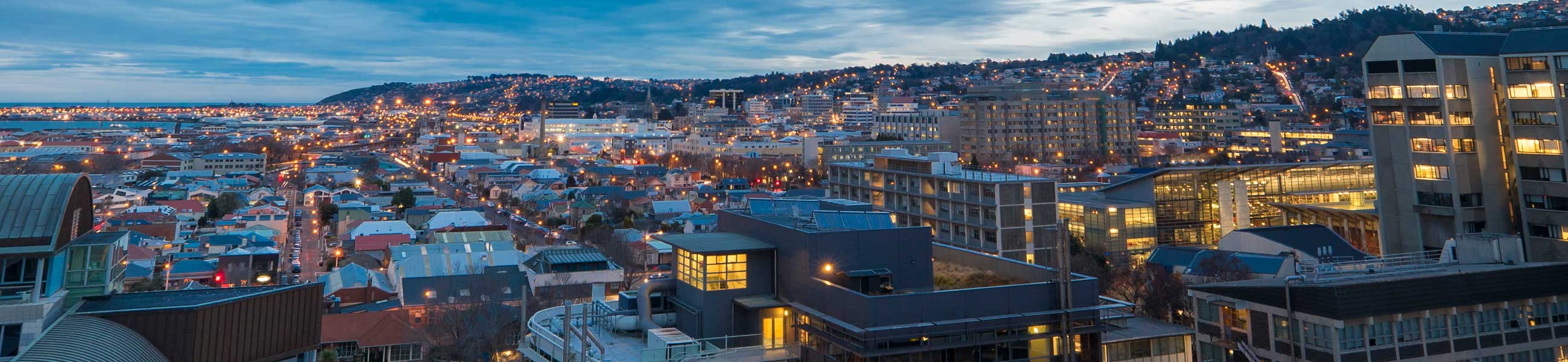 View of Dunedin City at night