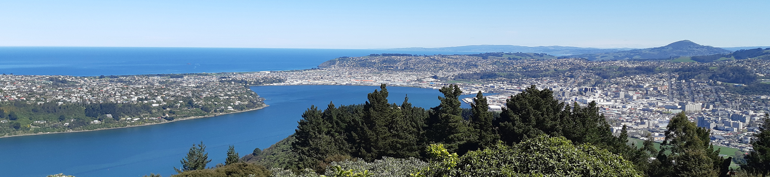 Signal Hill Lookout towards the Dunedin city