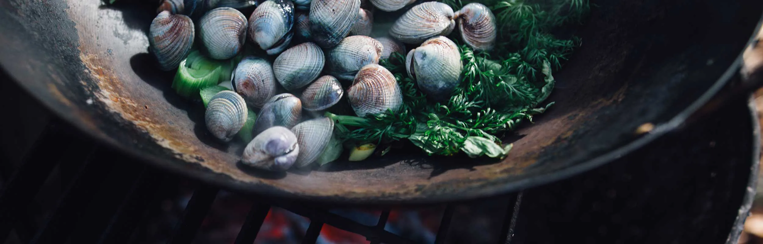 Good Food Dunedin Good Food Dunedin