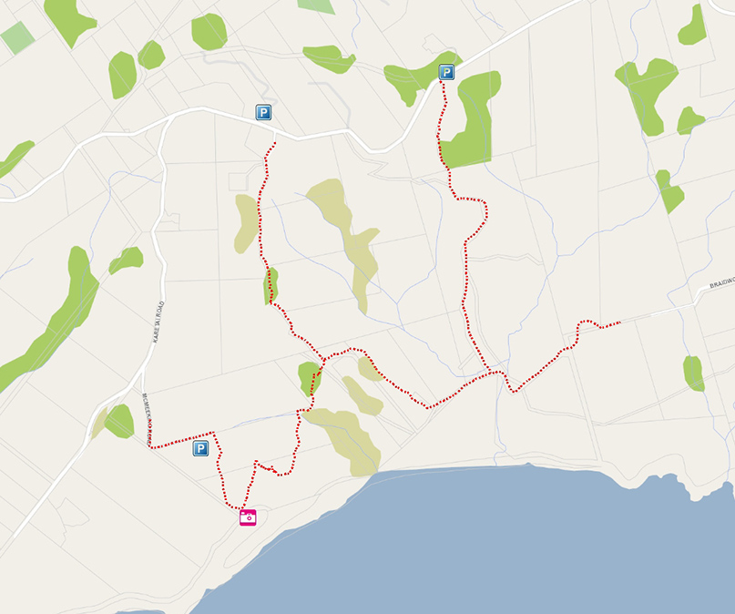 Highcliff Tracks