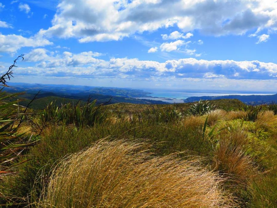 Leith Saddle