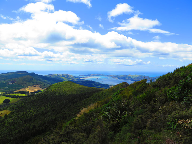 MtCargill