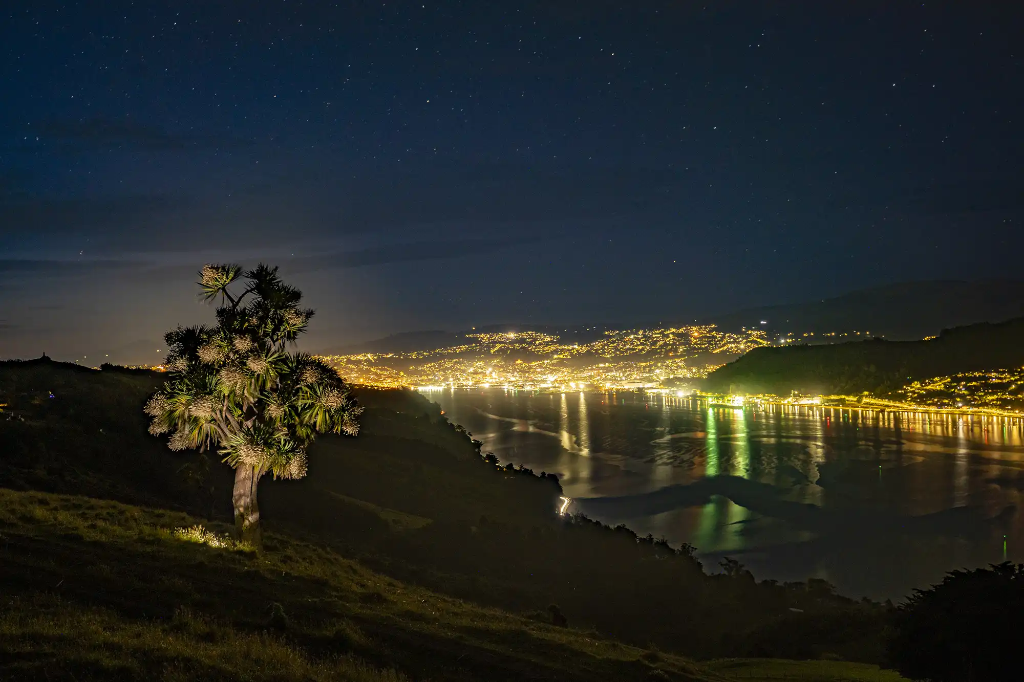 Otago Harbour at night