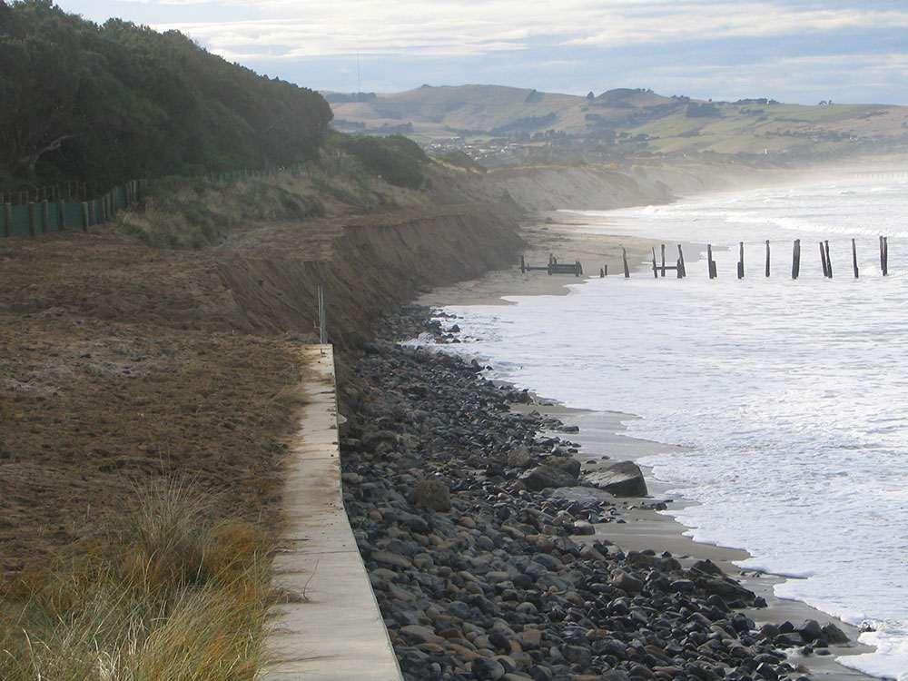 Sand placed on St Clair Beach after the sand dune was eroded. Roughly 8000m3 of was brought in