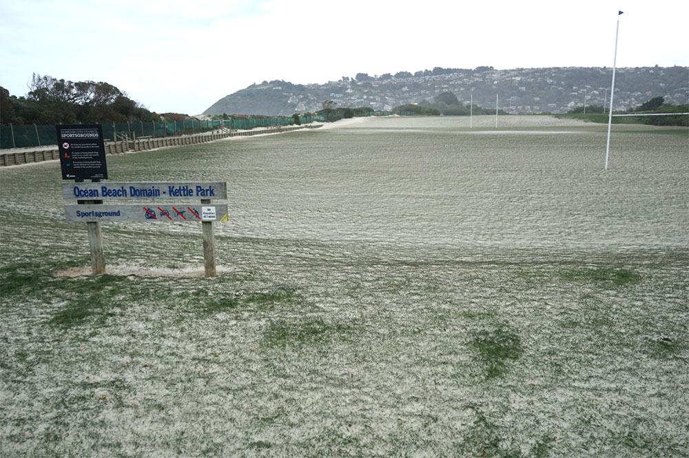 Sand on Kettle Park in 2016. This sand was blown over the sand dune during a strong southerly