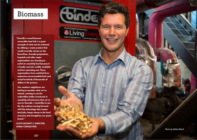 Energy Plan Biomass