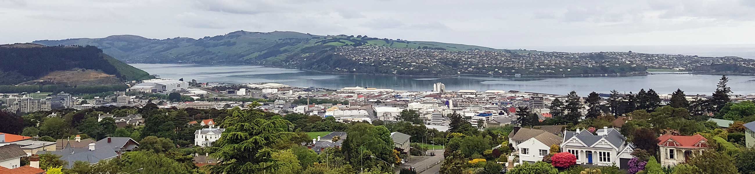 Dunedin view from Rosyln