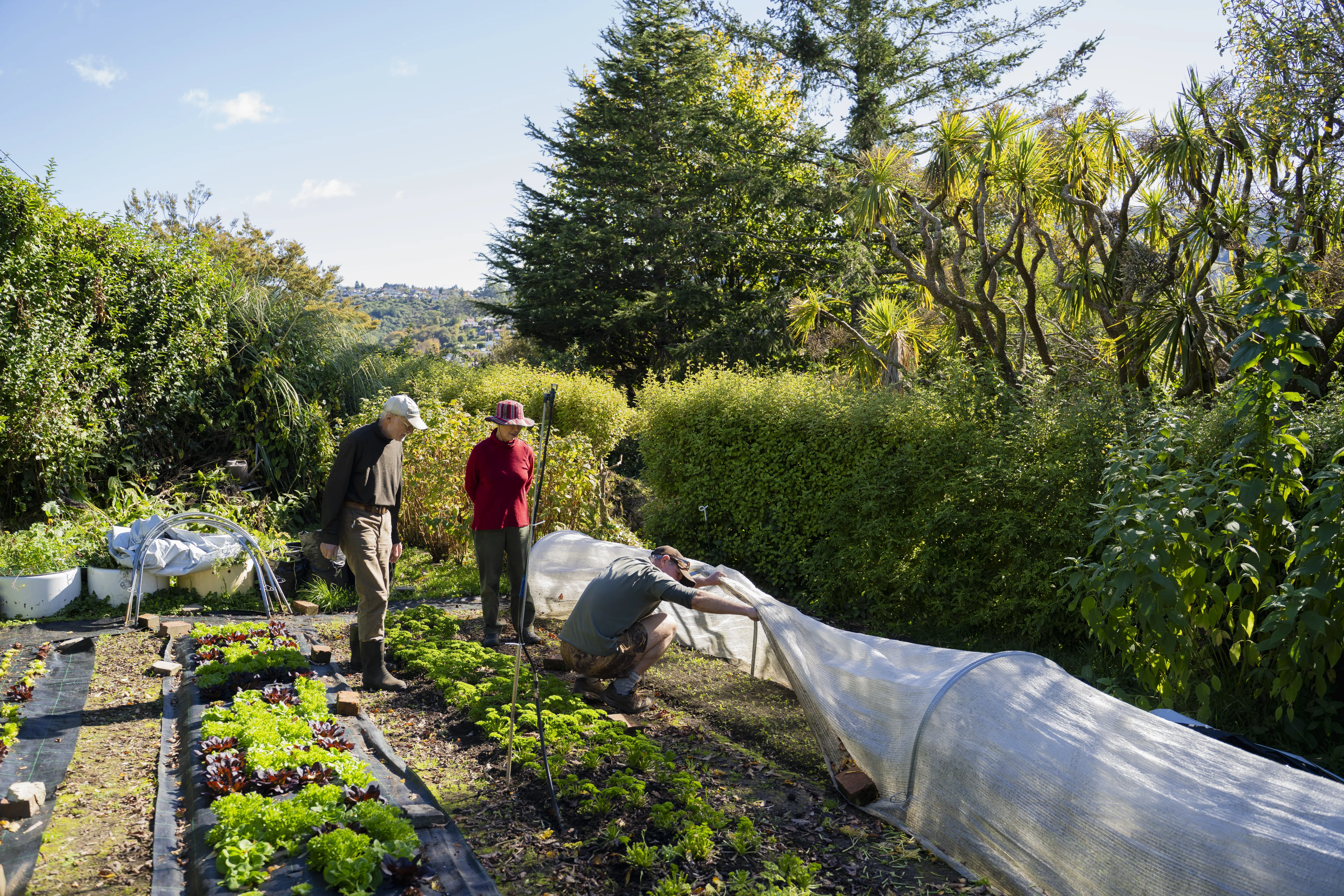 Garden to market  Garden to market