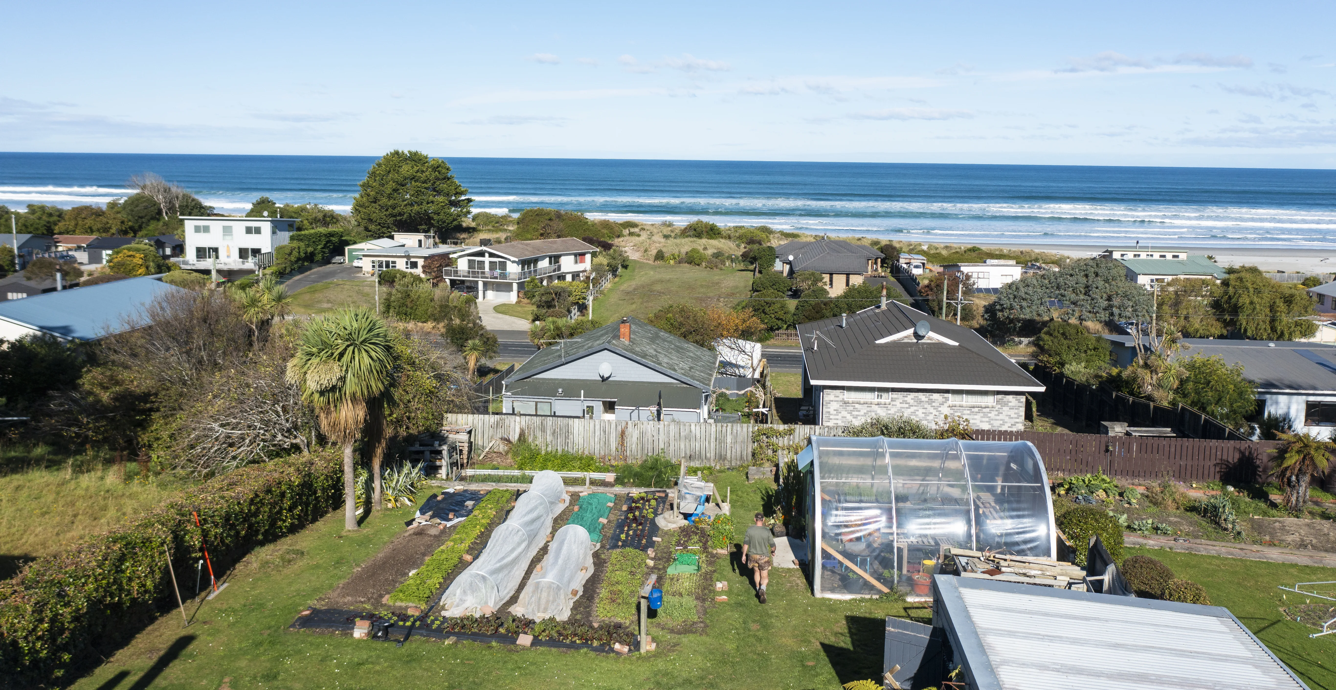 Backyard garden Backyard garden