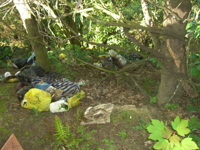 illegal dumping at buccleugh street.