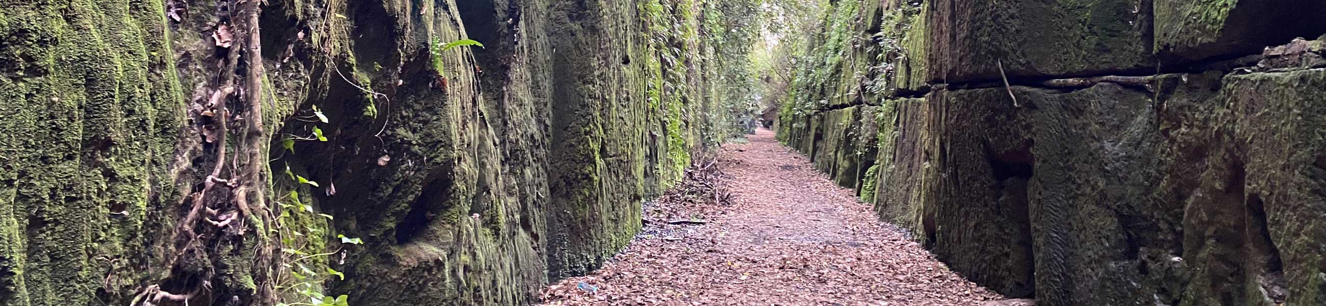 Caversham Tunnel