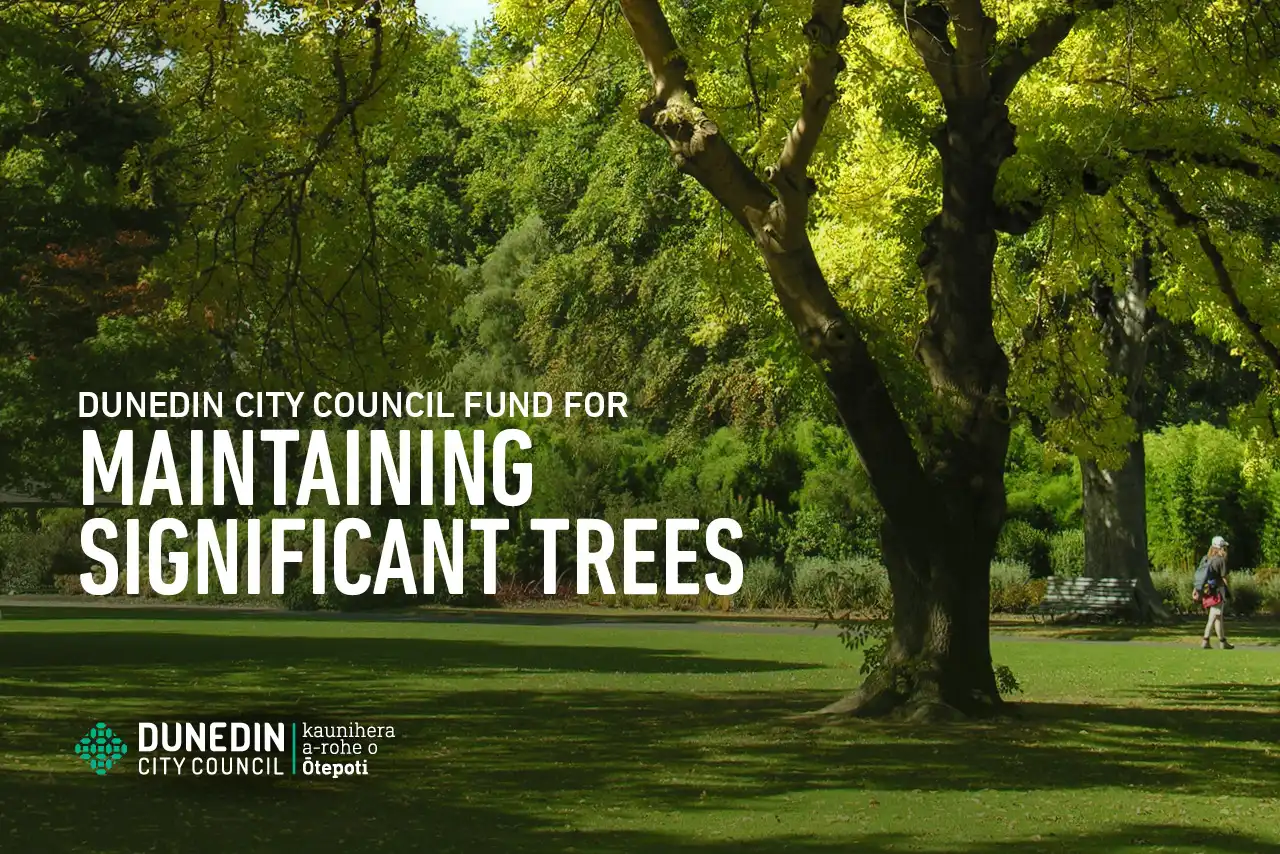 Fund for maintaining significant trees brochure